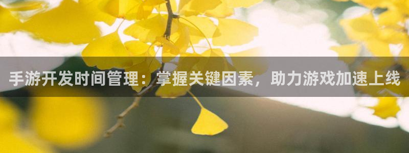 V8娱乐官网：手游开发时间管理：掌握关键因素，助力游戏加速上
