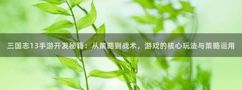V8娱乐注册：三国志13手游开发秘籍：从策略到战术，游戏的核