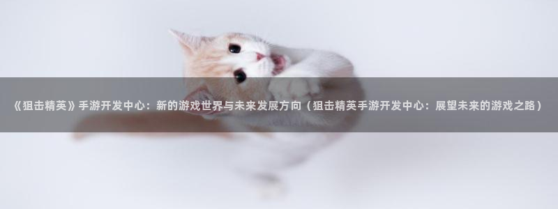 V8娱乐：《狙击精英》手游开发中心：新的游戏世界与未来发展方