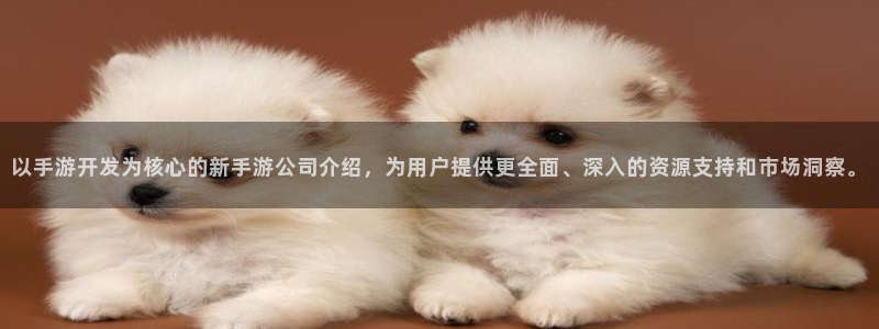 V8娱乐登录：以手游开发为核心的新手游公司介绍，为用户提供更