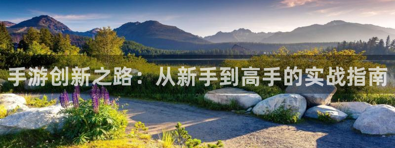 V8娱乐登录：手游创新之路：从新手到高手的实战指南