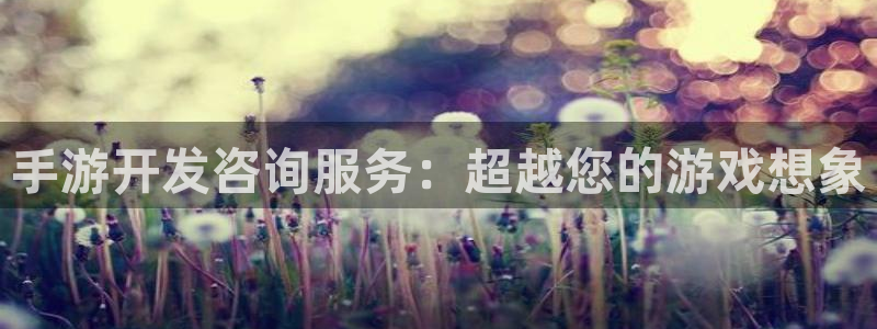 V8娱乐注册：手游开发咨询服务：超越您的游戏想象