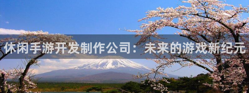 V8娱乐平台：休闲手游开发制作公司：未来的游戏新纪元