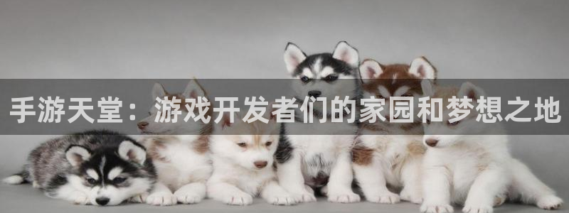 V8娱乐官网：手游天堂：游戏开发者们的家园和梦想之地