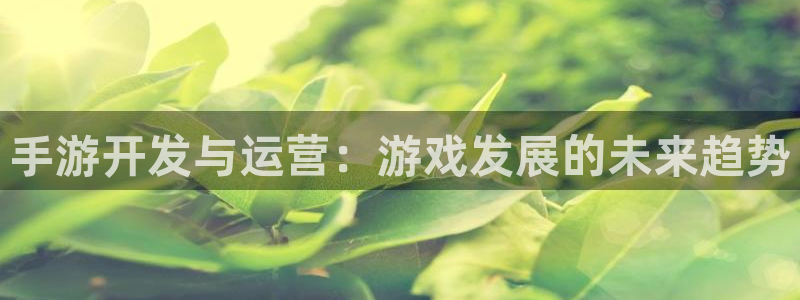 V8娱乐注册：手游开发与运营：游戏发展的未来趋势