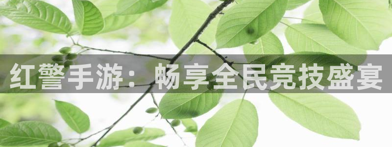 V8娱乐官网：红警手游：畅享全民竞技盛宴