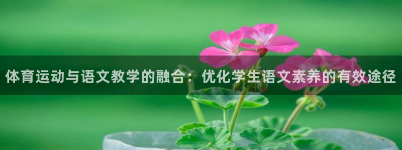 三亿体育网页版
