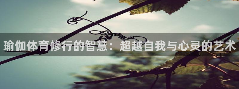 三亿体育网
