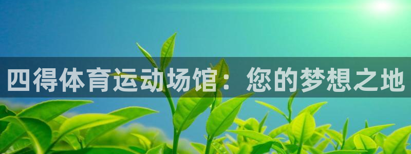 三亿体育网