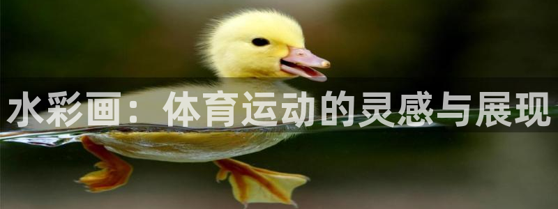 三亿体育登录