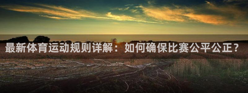 三亿体育网页版