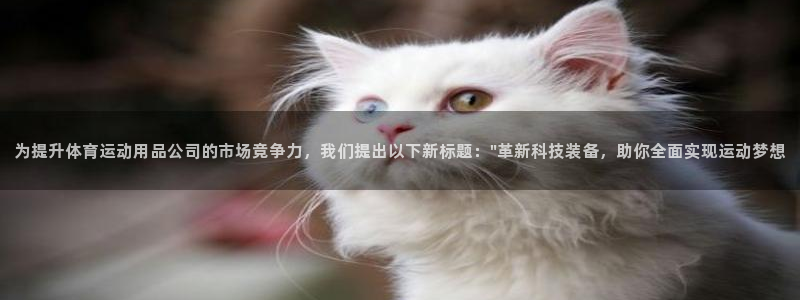 三亿体育网