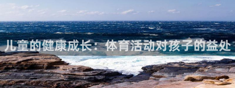 三亿体育网页版
