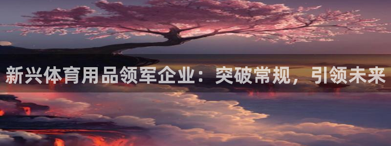 三亿体育网页版