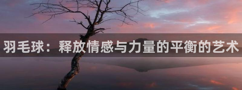 三亿体育网