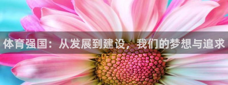 三亿体育网