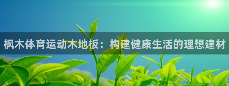 三亿体育网